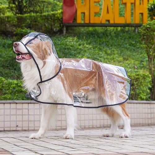 Pet raincoat transparent - pet, dog