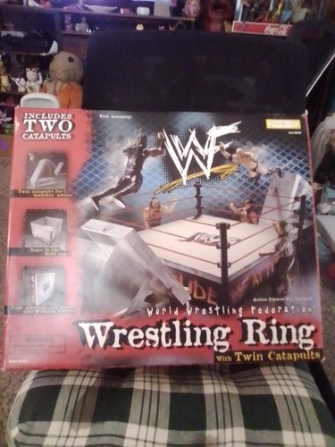Wwf attitude era wrestling - attitude,