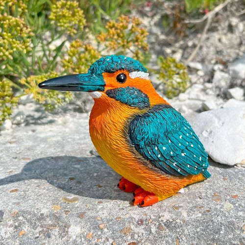 Kingfisher bird garden - kingfisher,