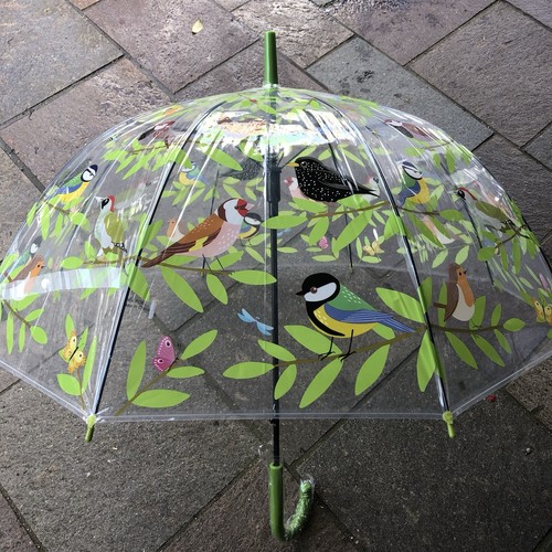 Ladies garden birds umbrella - ladies,