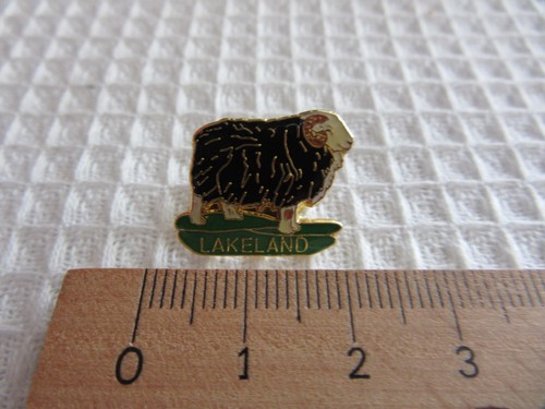 Lakeland sheep herdwick rare - sheep,