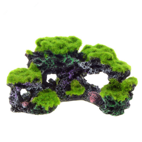 Aquarium coral reef - aquarium,