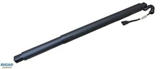 GAS SPRING, BOOT/CARGO AREA BRD50712