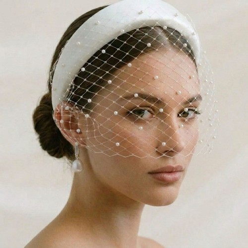 Ivory birdcage veil - ivory,