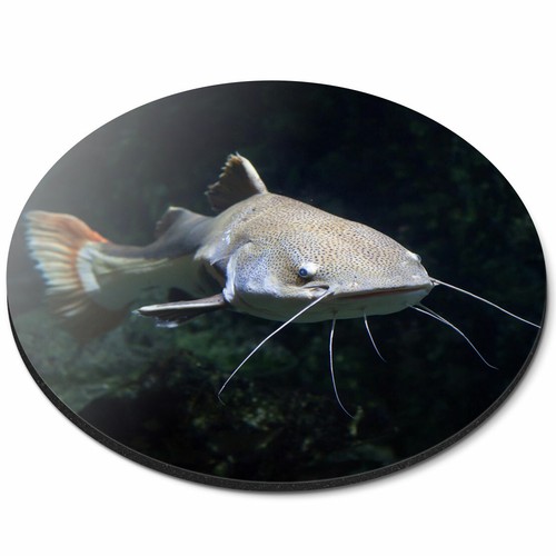 Round mouse mat - -, awesome