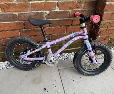 Early Rider Seeker Kids Bike