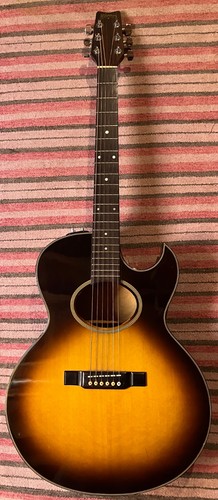 1985 washburn woodstock - washburn,