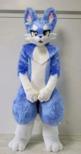 Long fur husky dog - long,