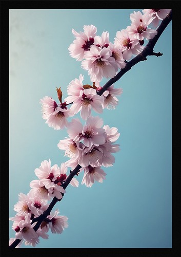 Serene cherry blossom framed - serene,