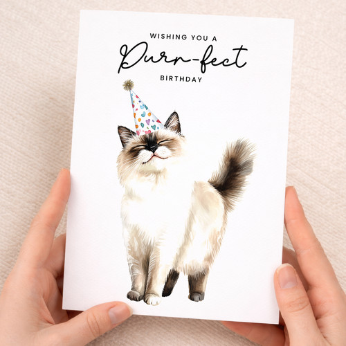 Ragdoll cat birthday card - ragdoll,