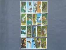 Brooke Bond Set of 20 Frances Pitt British Birds - Very Good