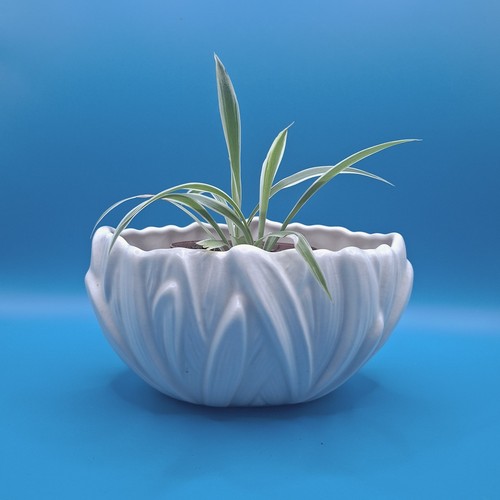 Vintage sylvac hyacinth white - sylvac,