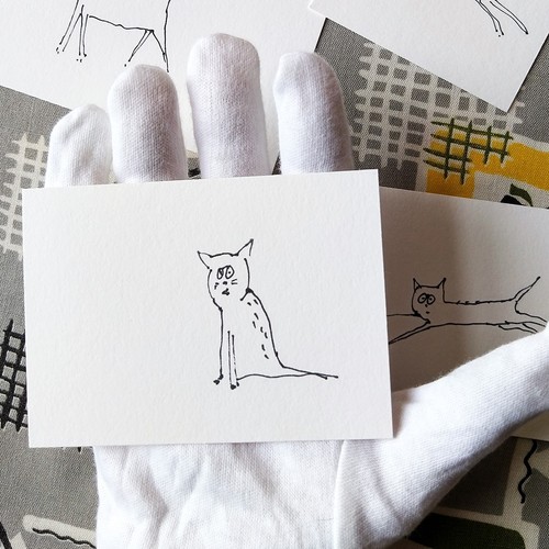 Rescue cat art - cat, doodles