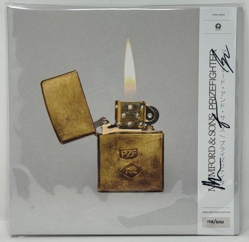 Mumford sons prizefighter - sons,