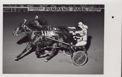 Fast draw pompano - -,