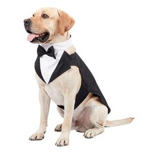 Dog Tuxedo Costume with Collar