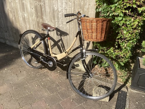 Ladies vintage bycycle - vintage,