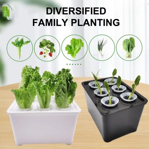 Hydroponic grower self - hydroponic,