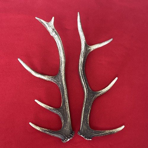 Pair red deer antlers 464g - red,
