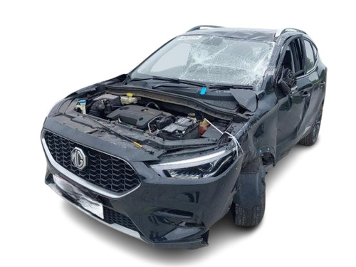 Exclusive 2022 1 - mg, zs
