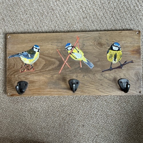 Blue tit birds reclaimed - birds, on