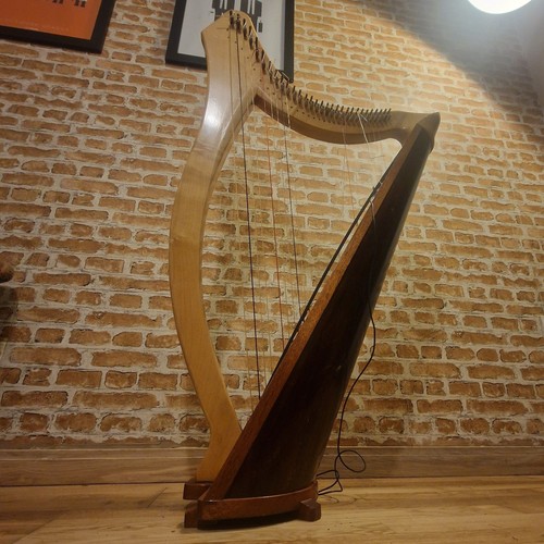 String harp celtic - string, folk