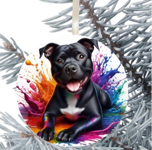 Staffordshire bull terrier dog - staffordshire,