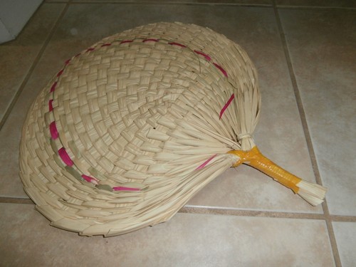 Vietnamese bamboo palm - bamboo,