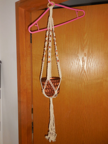 Plant hanger hanging - plant,