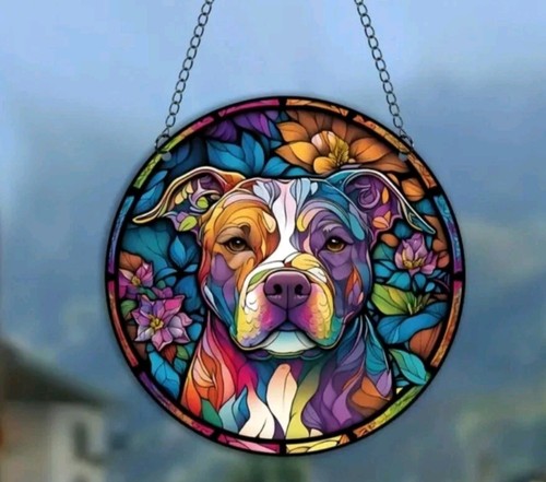 Charming bully staffy dog - charming,