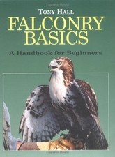 Falconry Basics: An