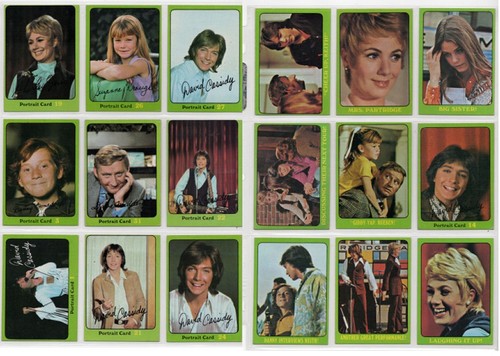 1971 partridge family series - partridge,