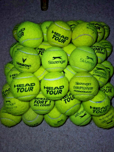 Used tennis balls for dogs - used,
