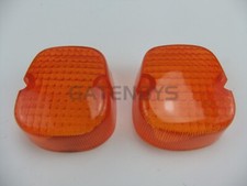 2x Indicator Light Lens Fits