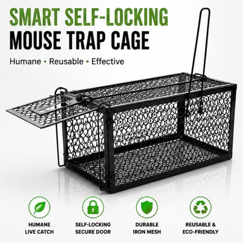 Rat trap mouse - rat,