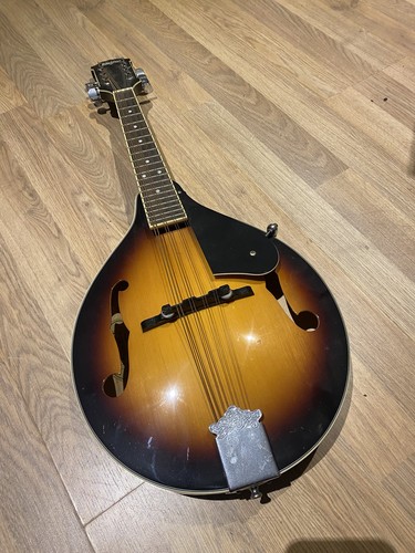 Washburn mandolin - washburn, m-1s