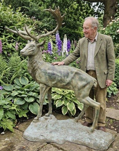 Bronze stag sculpture - bronze,