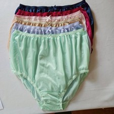 6 Plus Nylon Panties Underwear