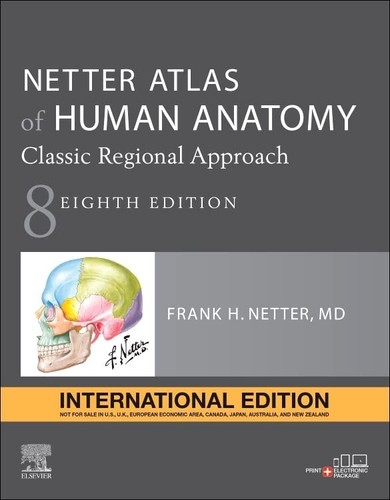 6days delivery netter atlas - delivery-netter,