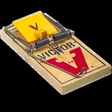 Heavy Duty Rat Trap –