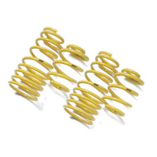 Apex 30mm Lowering Springs for