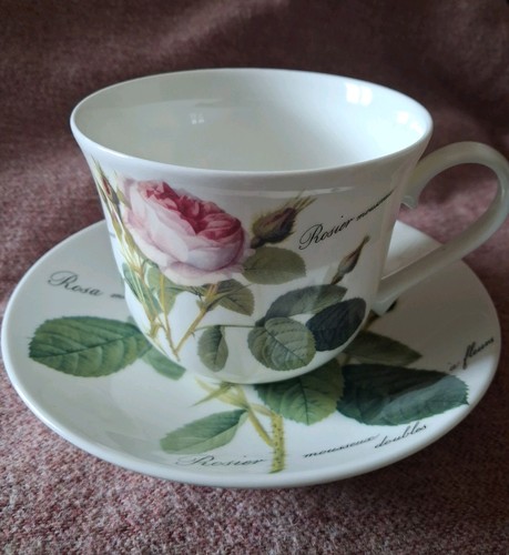 Redoute roses roy kirkham - redoute,