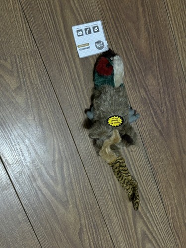 Happy pet empty - pet,