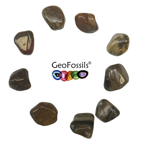 Petrified wood tumble - petrified,
