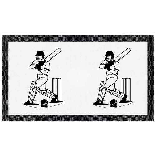 Cricket batter action - 'cricket, pet