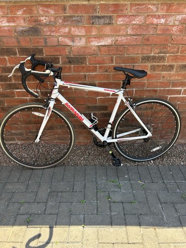 Bicycle barracuda men road - barracuda, men's