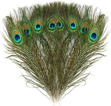3pcs Natural Real Peacock