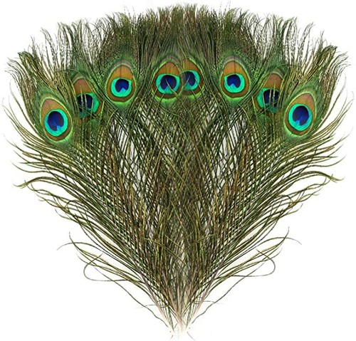 3pcs natural real peacock - real,