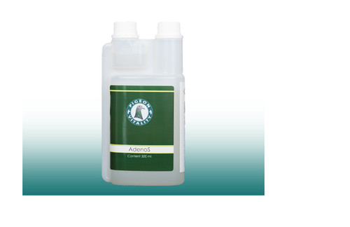 Pigeon vitality adenos for - pigeon,
