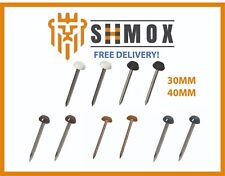 Plastic Head Nail Pins Polytop Steel Fixings UPVC Fascia Soffit (250PCS)